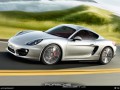 Технически спецификации на автомобила и разход на гориво на Porsche Cayman