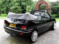 Technische Daten und Spezifikationen für Rover 100 Cabrio (XP) - picture 3