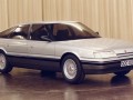 Technische Daten und Spezifikationen für Rover 800 Hatchback - picture 2