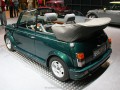 Technische Daten und Spezifikationen für Rover Mini MK I Cabrio - picture 3