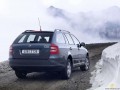Specificații tehnice pentru Skoda Octavia II Combi (1Z5) - picture 2