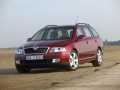 Octavia II Combi (1Z5)