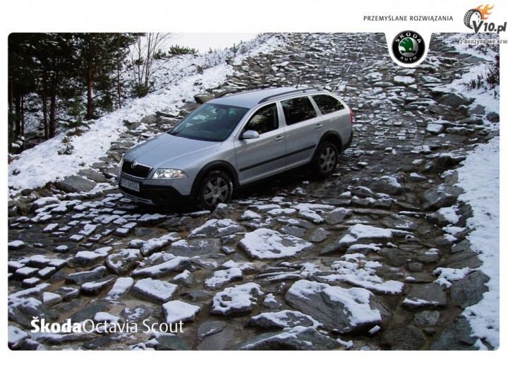 Technical specifications and characteristics for【Skoda Octavia Scout】 - picture 2