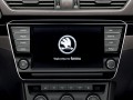 Technical specifications and characteristics for【Skoda Superb III Combi】 - picture 13
