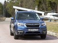 Technische Daten und Spezifikationen für Subaru Forester IV (SJ) Restyling II - picture 2