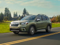 Forester V