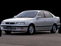 Corona (T19)