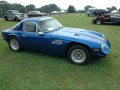 Technical specifications and characteristics for【TVR 2500】 - picture 2