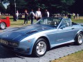 Specifiche tecniche dell'automobile e risparmio di carburante di TVR 450
