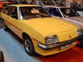 Technical specifications and characteristics for【Vauxhall Cavalier CC】 - picture 1