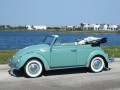 Kaefer Cabrio (15)