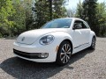 Beetle (2011)