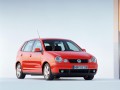 Polo IV (9N3)